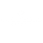 Home 52 influencer marketing cocosolis