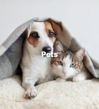 Influencers 18 Pets